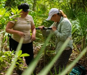 Two women examining plant samples in a dense forest, one holding a magnifying glass, both wearing casual outdoor attire.