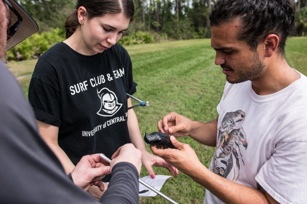 Two individuals examining a small turtle outdoors, with one person holding a pen and clipboard for note-taking.