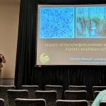 A man presents a scientific talk about amphibian pathogens in florida, standing beside a projected slide with images and text, in a conference room.
