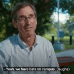 Man in glasses and striped shirt sits on bench outdoors, speaking about bats on campus, with a subtitle displayed.