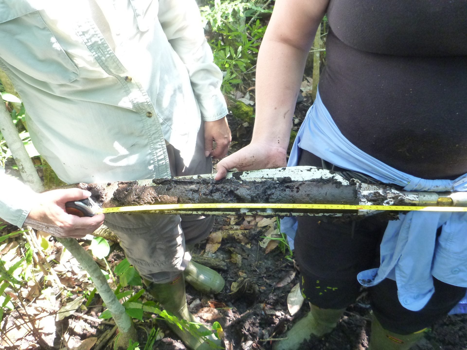 Underground Carbon Deposits Unlock Climate Change Insights College of