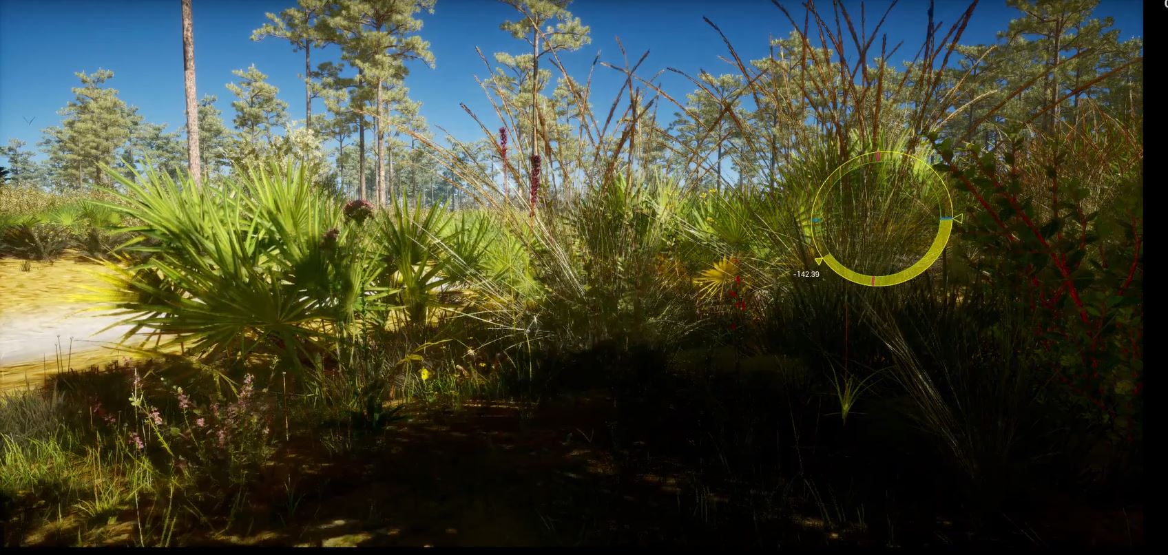 - Virtual Arboretum Featured At Global Film, Data Visualization ...