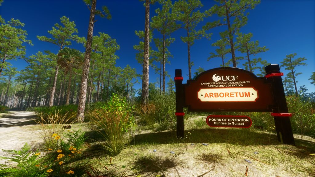 Screen grab from UCF Virtual Arboretum VR experience