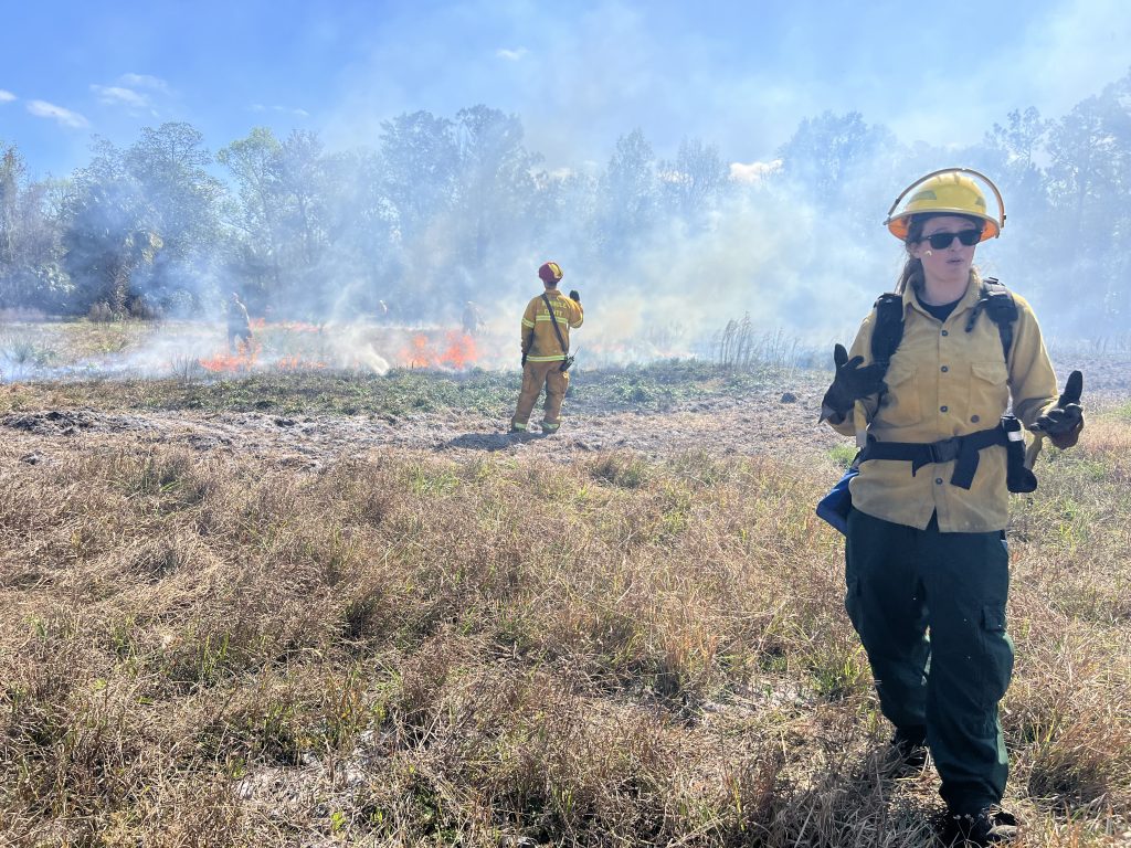 Prescribed fire practitioners conducting a fire burn demo