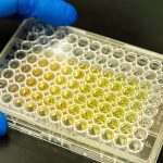 A tray showing an ELISA diagnostic using Xia’s nanoparticles. When a biomarker is detected, the test generates a visible color output that can be used to quantify its concentration. The stronger the color is, the stronger the concentration. (Photo by Antoine Hart)