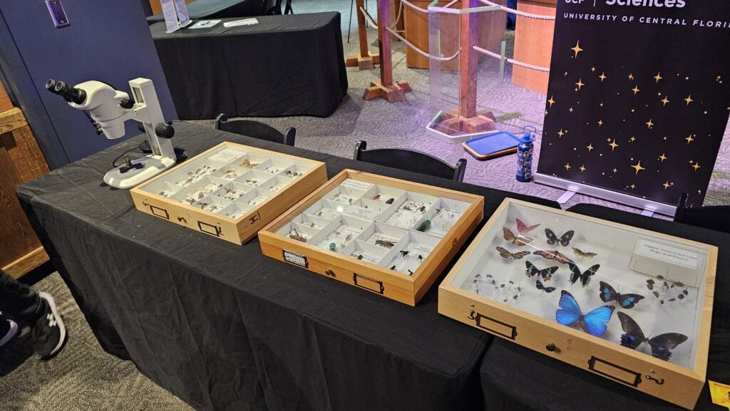 Three display cases with various insect and butterfly specimens are arranged on a table next to a microscope, with a University of Central Florida banner in the background.