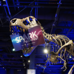 A dinosaur skeleton holds a 