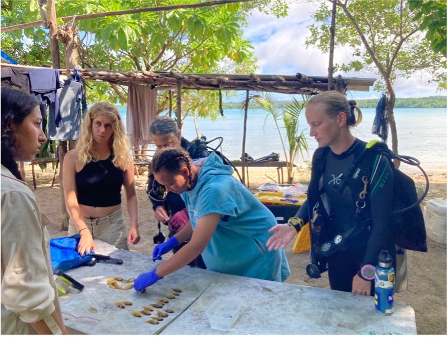 A group of people, including one in scuba gear, examine and sort objects on a table outdoors near a beach under a simple wooden shelter.