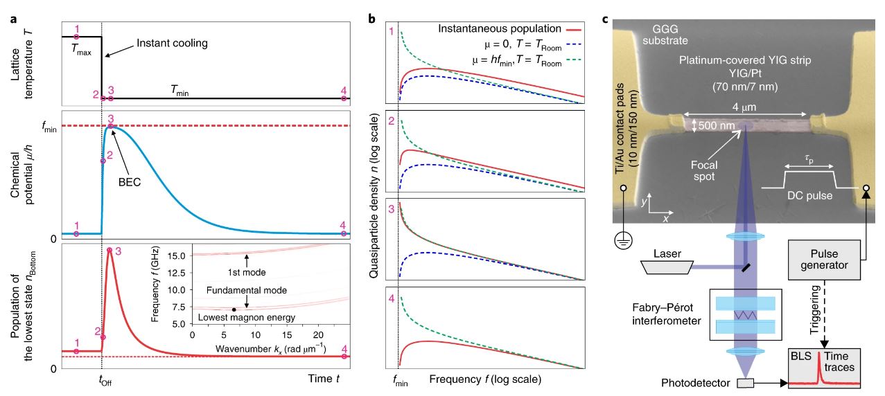 Bose-Einstein condensation of quasiparticles by rapid cooling