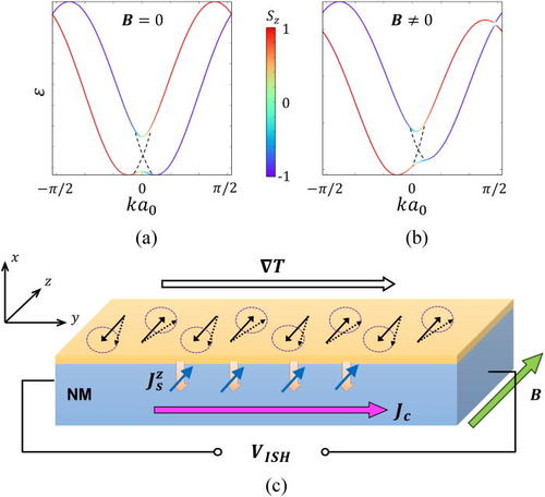 Two graphs labeled (a) and (b) showing different magnetic scenarios above a 3D diagram labeled (c) illustrating spin accumulation and current flow on a non-magnetic material under a temperature gradient.