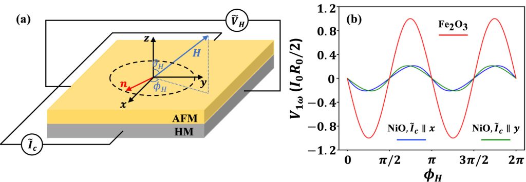 Harmonic Hall Analysis of Spin Torques in Antiferromagnets
