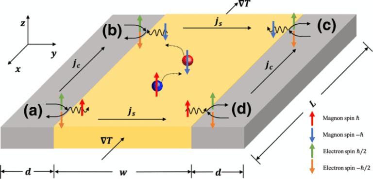 Diffusive Magnon Spin Nernst Effect in Antiferromagnets