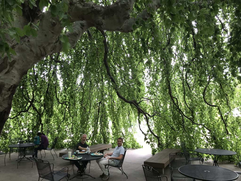 Jeppe Olsen and Nicolas Douguet at lunch under a tree canopy outside NIST cafeteria
