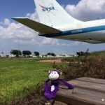 A plush purple monkey sits on a wooden bench in front of a NASA aircraft tail on a sunny day.