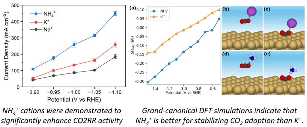 Graph and simulation images comparing NH4+, K+, and Na+ effects on CO2RR activity, showing NH4+ enhances current density and CO2 stabilization more than K+ or Na+.