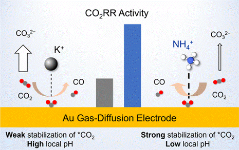 Diagram comparing CO₂ reduction activity on a gold electrode with K⁺ and NH₄⁺ ions, showing higher activity and stronger CO₂ stabilization with NH₄⁺ at low local pH.
