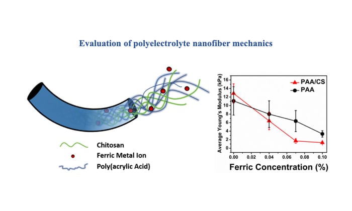 Evaluation of polyelectrolyte nanofiber mechanics