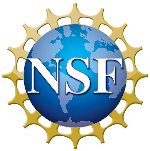 NSF logo featuring a blue globe with white "NSF" letters, surrounded by a gold sunburst design.