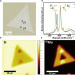 Scientific collage displaying mos2 monolayer characterization: optical image (a), raman spectra graph (b), photoluminescence mapping (c-f) with silicon and molybdenum distributions.
