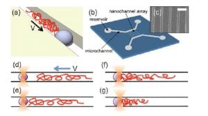 aniket-group-polymer-physics