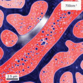 Microscopic view of red and pink cellular structures with blue background; scale bar indicates 2.5 µm and label shows 700 cm⁻¹.