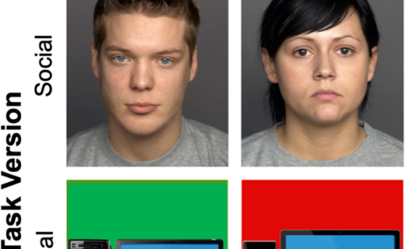 A grid with two columns labeled "Trustworthy-Looking" and "Untrustworthy-Looking," each showing a person’s face above a computer on a colored background.