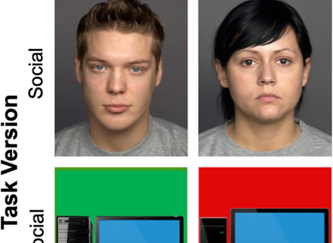 A grid with two columns labeled "Trustworthy-Looking" and "Untrustworthy-Looking," each showing a person’s face above a computer on a colored background.