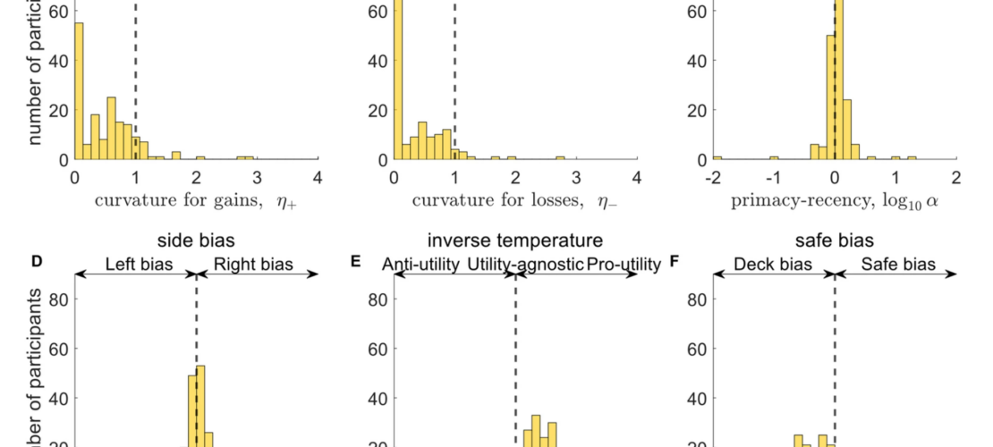 Six bar graphs showing distributions of participants by various decision-making parameters: curvature for gains/losses, primacy-recency, side bias, inverse temperature, and safe bias.