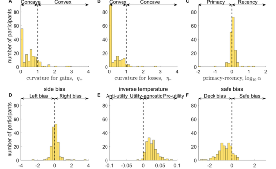 Six bar graphs showing distributions of participants by various decision-making parameters: curvature for gains/losses, primacy-recency, side bias, inverse temperature, and safe bias.