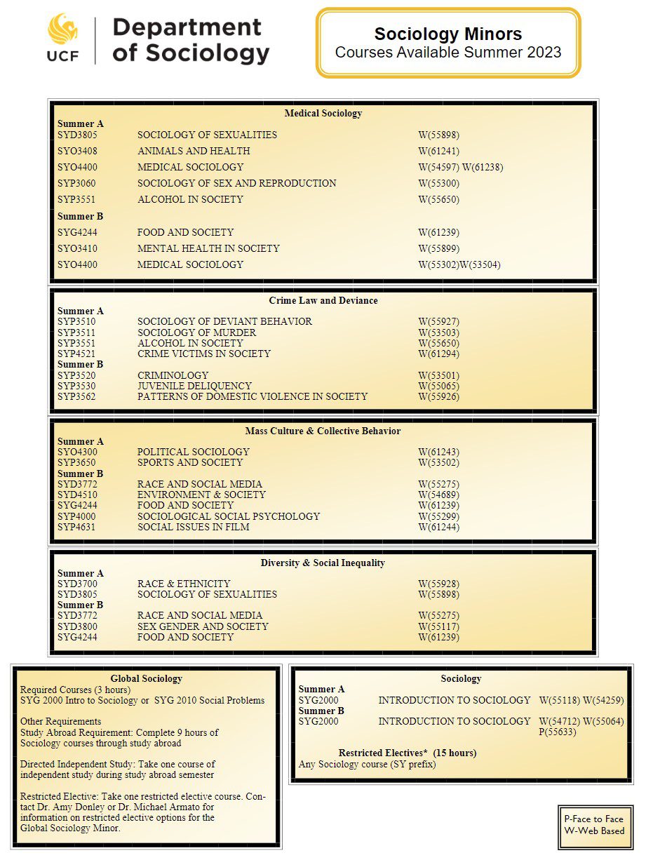 Minor Courses Sociology