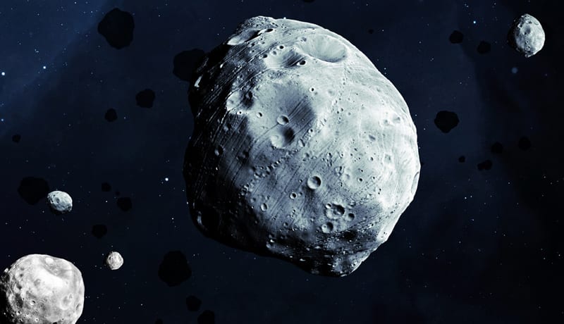 Primitive Asteroids